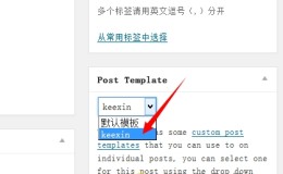 利用Custom Post Template插件自定义WordPress不同文章页模板